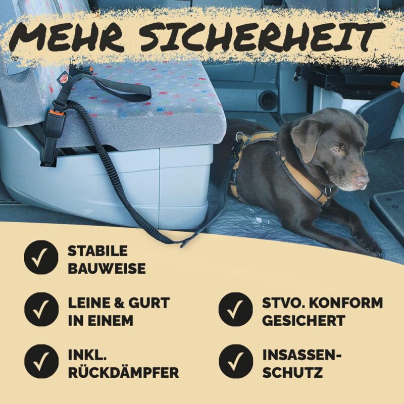 2-in-1 Dog leash with seat belt clip - Image 3