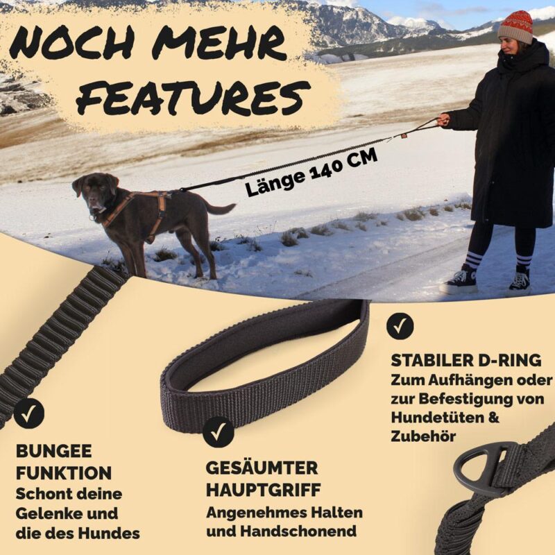 2-in-1 Dog leash with seat belt clip - Image 8